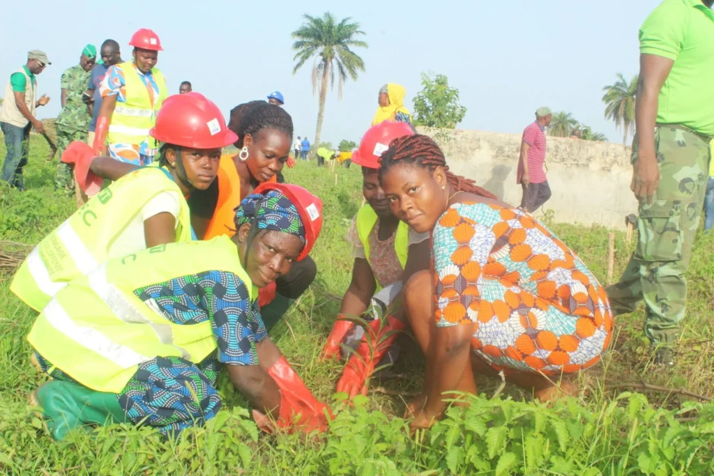 513841367 4180911978902559 5035163534264962809 n bf 3.jpg